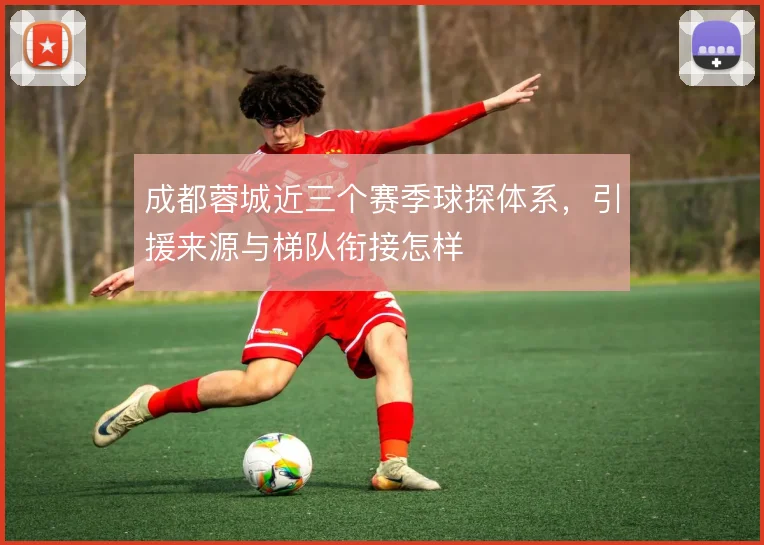 成都蓉城近三个赛季球探体系,引援来源与梯队衔接怎样