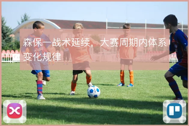 森保一战术延续，大赛周期内体系变化规律