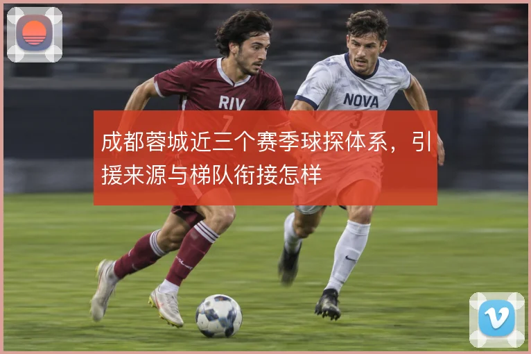 成都蓉城近三个赛季球探体系,引援来源与梯队衔接怎样