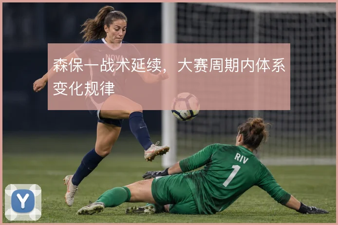 森保一战术延续，大赛周期内体系变化规律